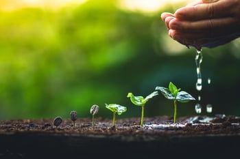 Growth-AdobeStock_199081903-min