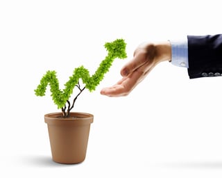 Image of human hands holding plant shaped like arrow.jpeg